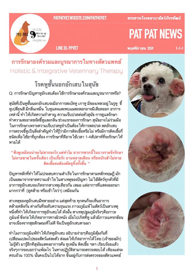 การรักษาหูอักเสบแบบองค์รวมและบูรณาการ